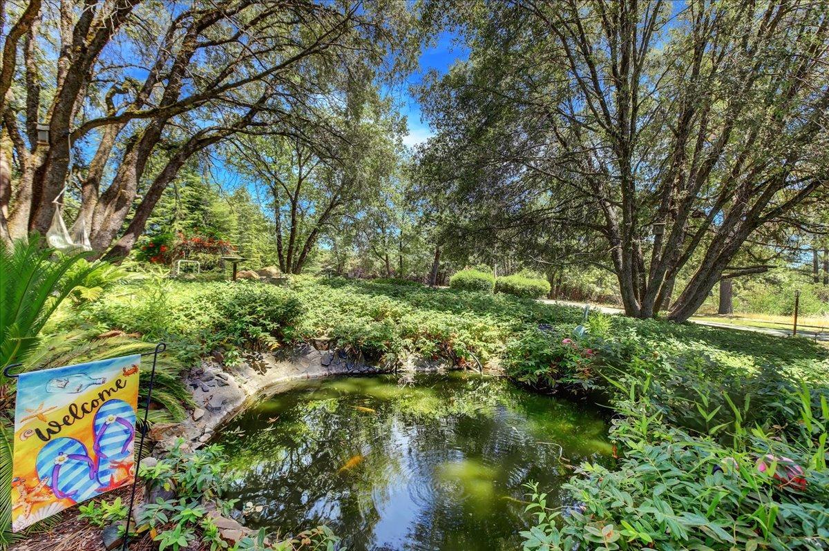 Detail Gallery Image 40 of 55 For 13220 Avelina Way, Grass Valley,  CA 95945 - 3 Beds | 2/1 Baths