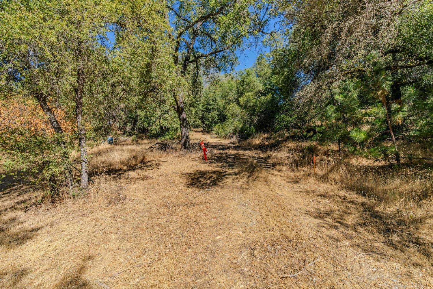 Detail Gallery Image 52 of 52 For 18861 Ponderosa Annex Rd, Sutter Creek,  CA 95685 - 3 Beds | 2 Baths