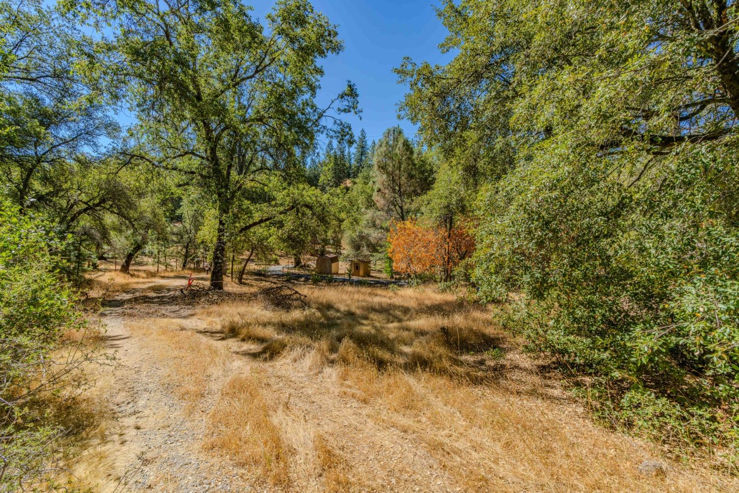 Detail Gallery Image 51 of 52 For 18861 Ponderosa Annex Rd, Sutter Creek,  CA 95685 - 3 Beds | 2 Baths