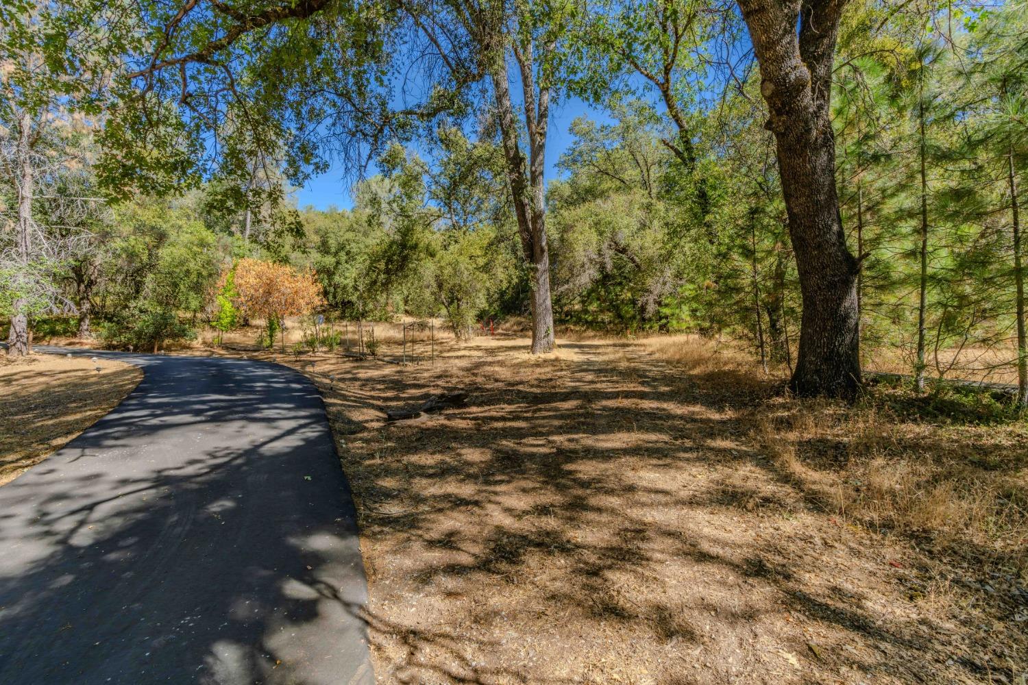 Detail Gallery Image 44 of 52 For 18861 Ponderosa Annex Rd, Sutter Creek,  CA 95685 - 3 Beds | 2 Baths