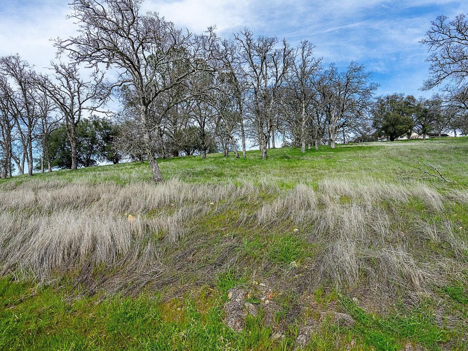 Detail Gallery Image 4 of 10 For 6561 Western Sierra Way, El Dorado Hills,  CA 95762 - – Beds | – Baths