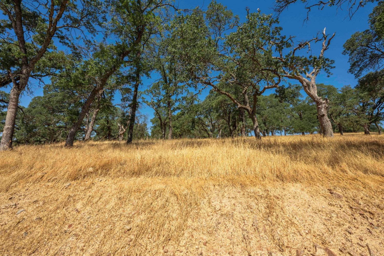 Detail Gallery Image 9 of 11 For 734 Peabody Ct, El Dorado Hills,  CA 95762 - – Beds | – Baths