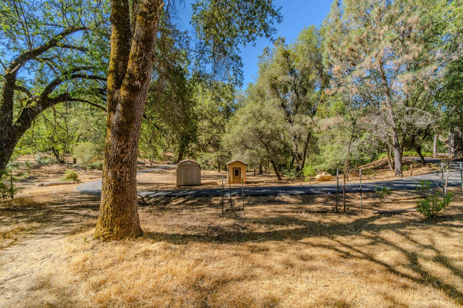 Detail Gallery Image 41 of 52 For 18861 Ponderosa Annex Rd, Sutter Creek,  CA 95685 - 3 Beds | 2 Baths