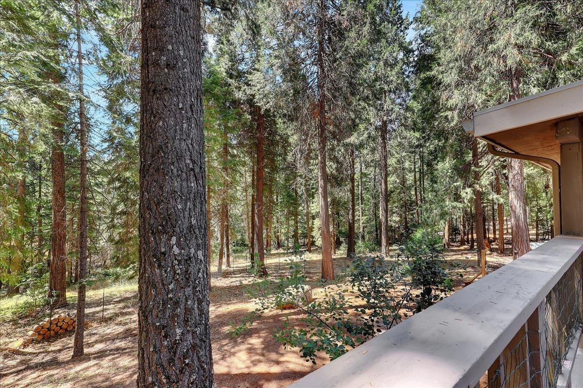 Detail Gallery Image 59 of 99 For 19163 Scotts Flat Rd, Nevada City,  CA 95959 - 2 Beds | 3 Baths