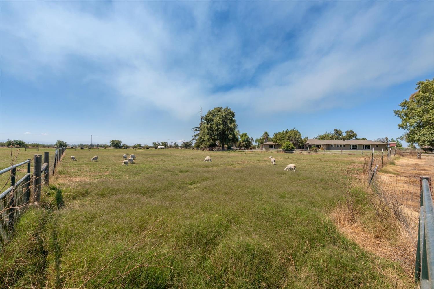 Detail Gallery Image 4 of 95 For 7271 Gridley Rd, Colusa,  CA 95932 - 4 Beds | 4/2 Baths