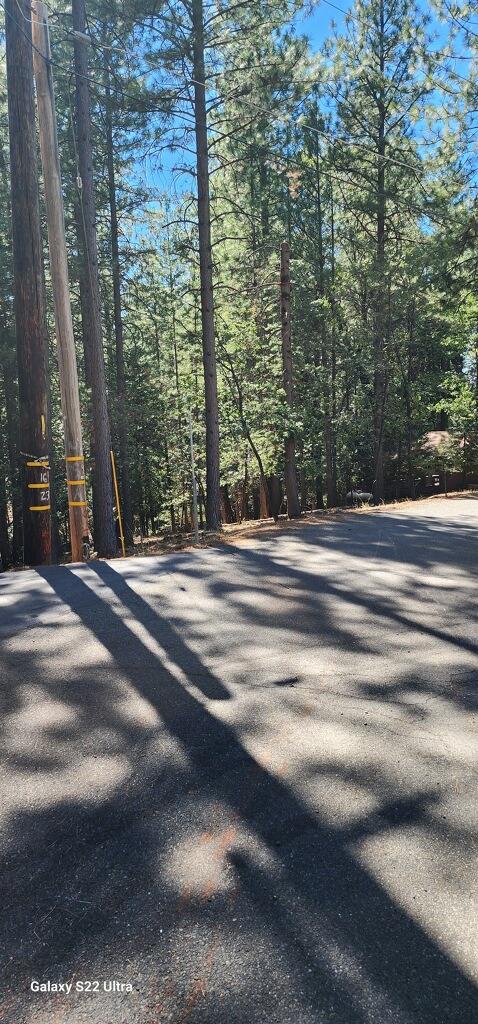 Lupin Lane, Pollock Pines, California image 4