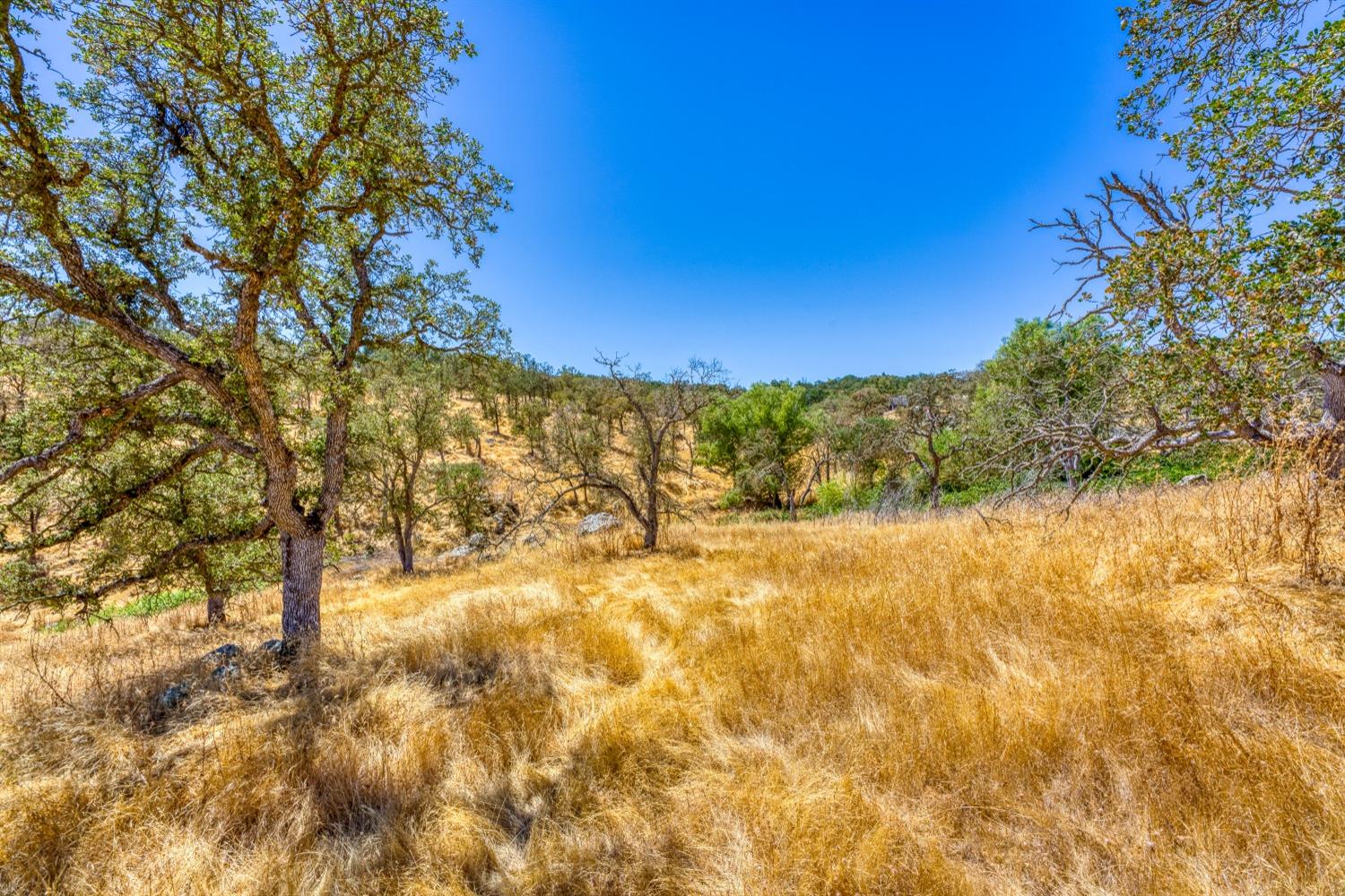 Detail Gallery Image 5 of 20 For 5015 Bane Rd, Valley Springs,  CA 95252 - – Beds | – Baths