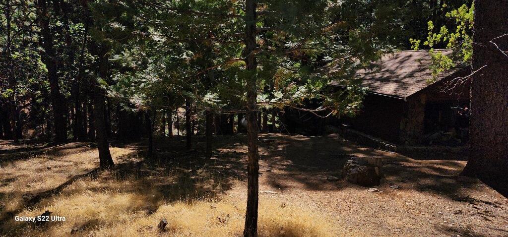 Lupin Lane, Pollock Pines, California image 13