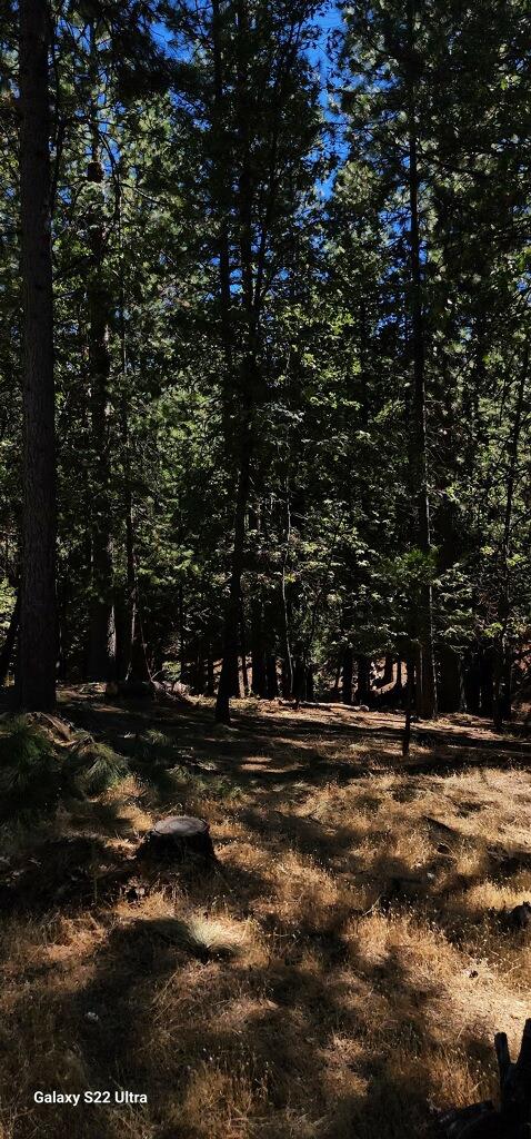 Lupin Lane, Pollock Pines, California image 16