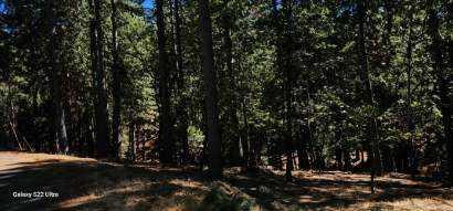 Lupin Lane, Pollock Pines, California image 7