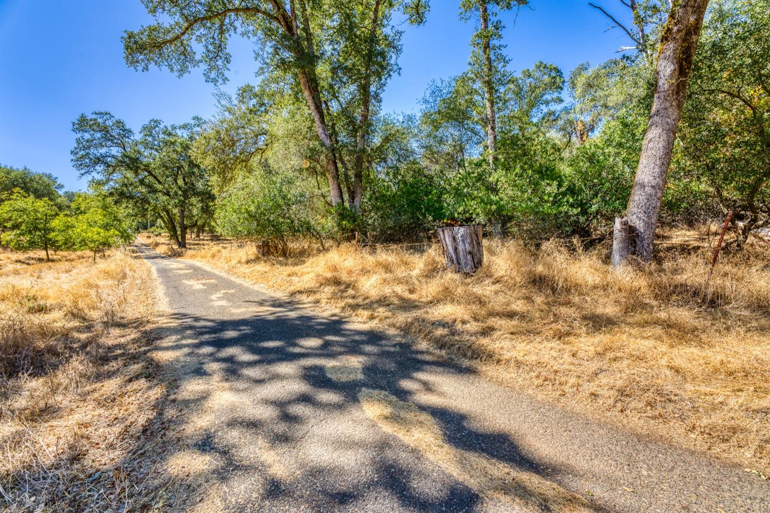 Detail Gallery Image 5 of 19 For 1 Holly Dr, Shingle Springs,  CA 95682 - – Beds | – Baths