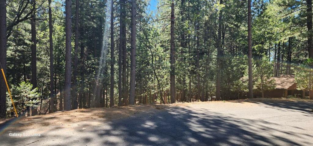 Lupin Lane, Pollock Pines, California image 2