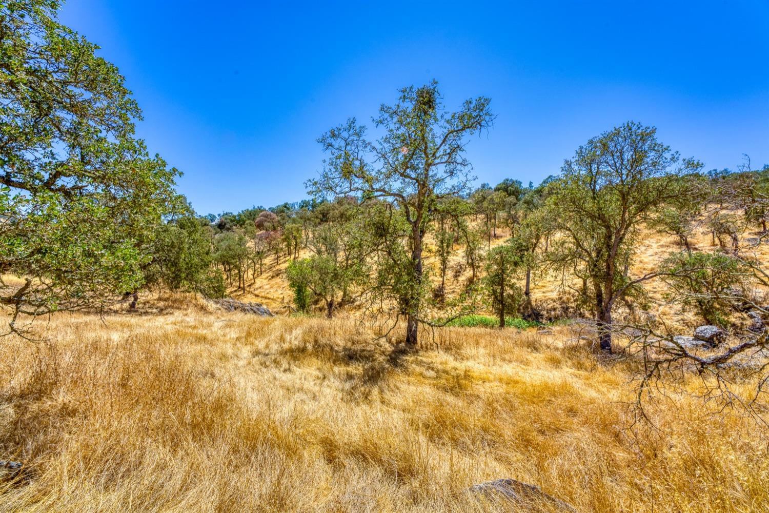 Detail Gallery Image 4 of 20 For 5015 Bane Rd, Valley Springs,  CA 95252 - – Beds | – Baths