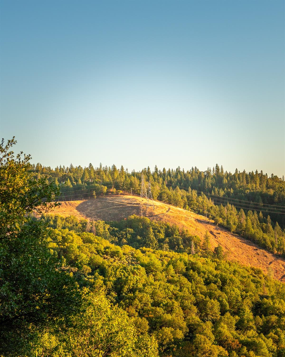 Detail Gallery Image 60 of 69 For 1000 Champagne Ln, Placerville,  CA 95667 - 3 Beds | 3 Baths