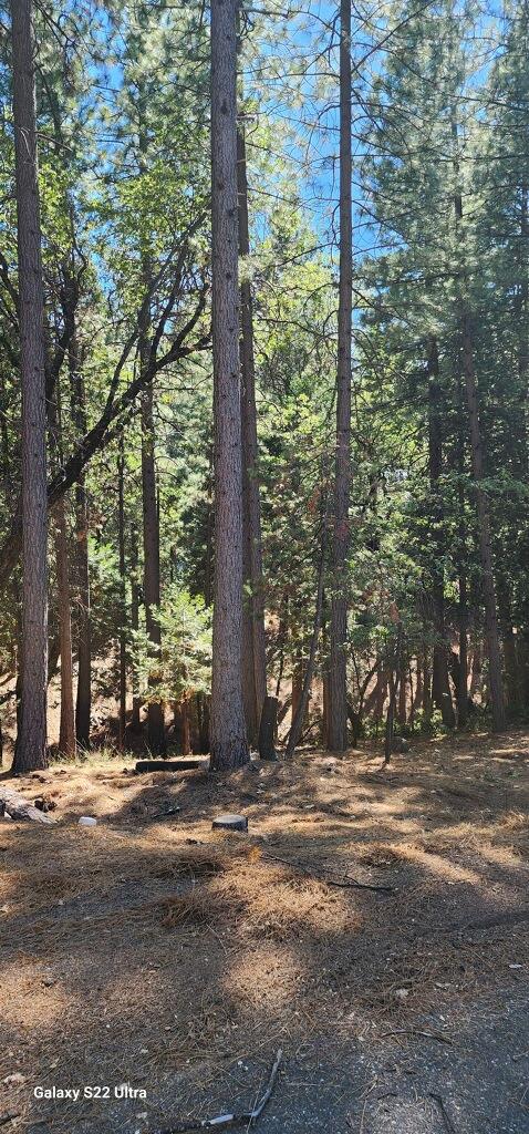 Lupin Lane, Pollock Pines, California image 6