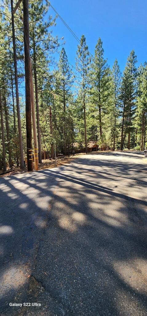 Lupin Lane, Pollock Pines, California image 8