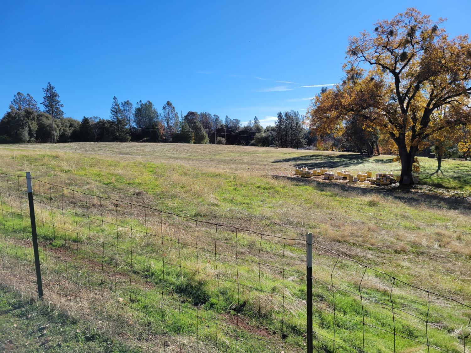 Detail Gallery Image 16 of 28 For 21792 Trotter Rd, Grass Valley,  CA 95949 - 3 Beds | 2 Baths