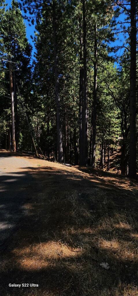 Lupin Lane, Pollock Pines, California image 3