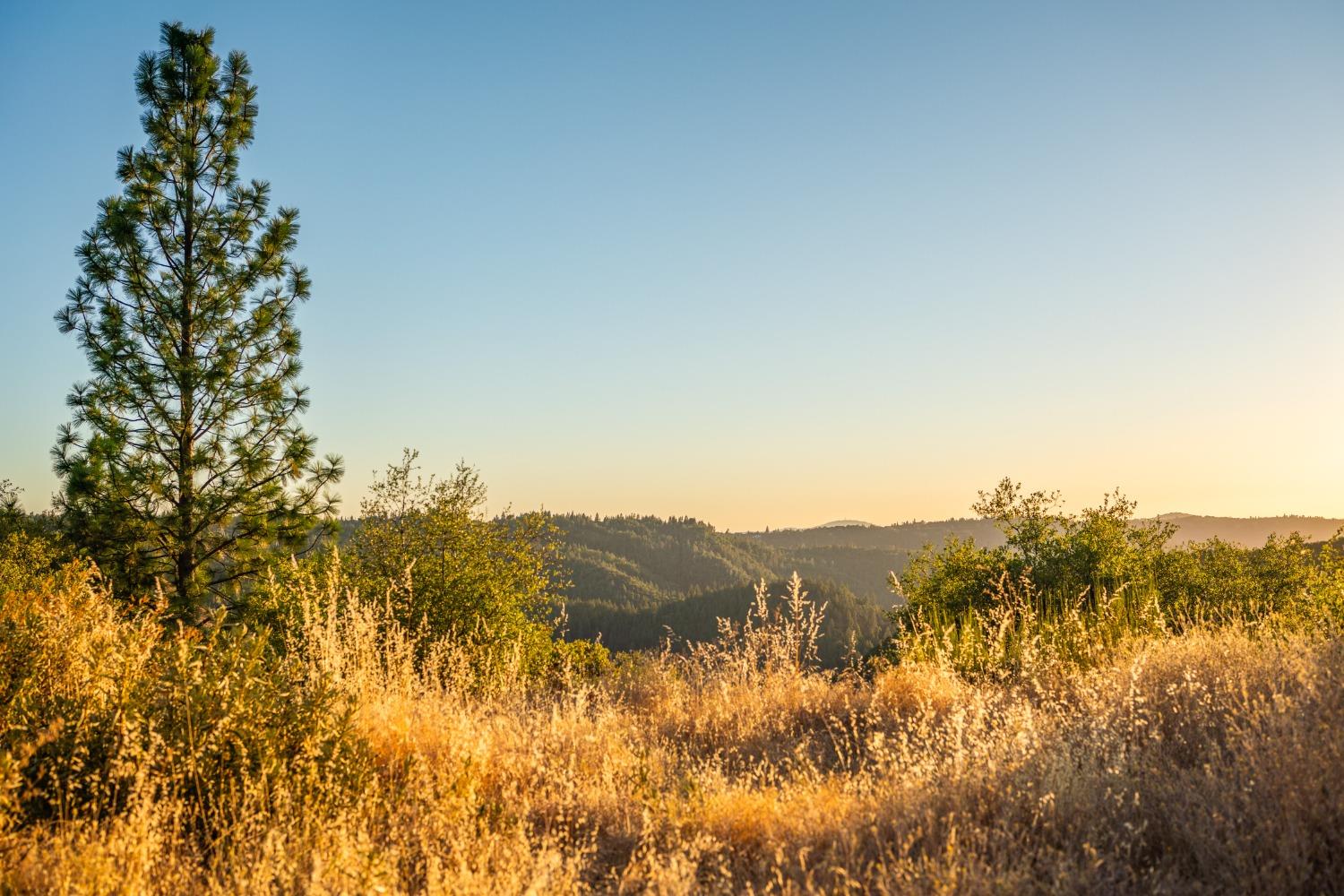 Detail Gallery Image 63 of 69 For 1000 Champagne Ln, Placerville,  CA 95667 - 3 Beds | 3 Baths