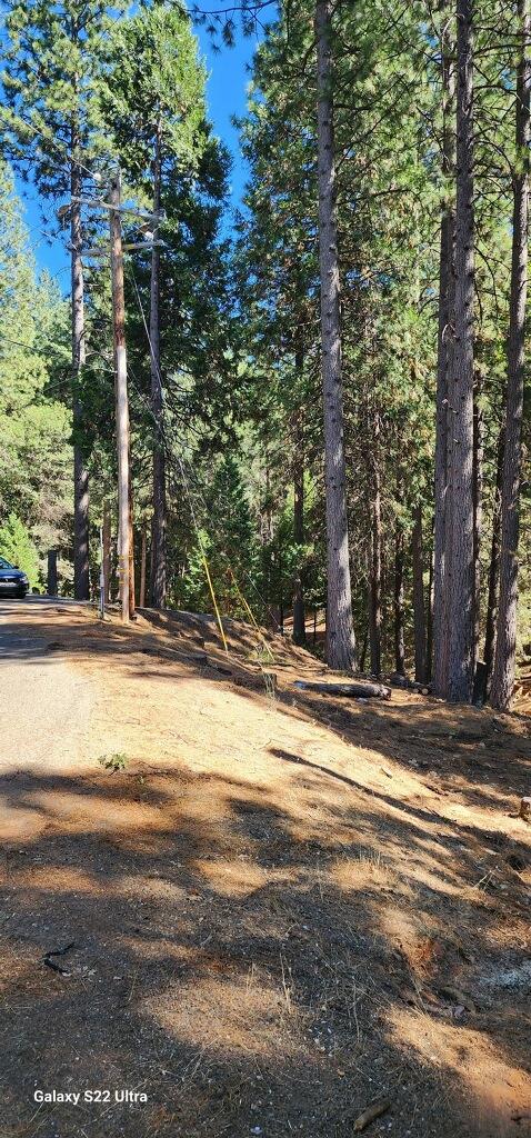 Lupin Lane, Pollock Pines, California image 10