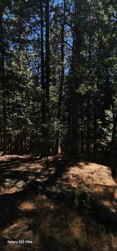 Lupin Lane, Pollock Pines, California image 14