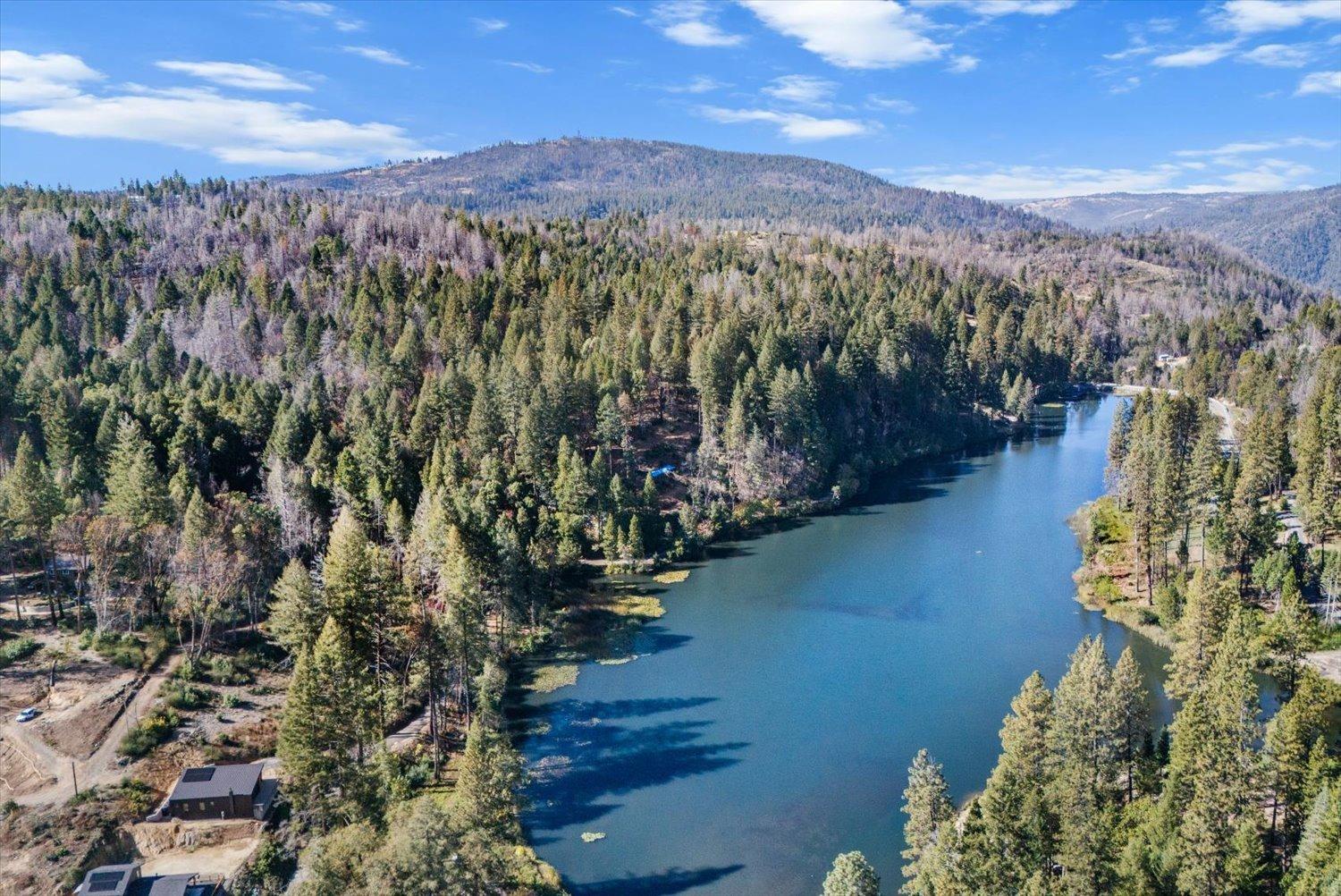 Panorama Drive, Berry Creek, California image 3