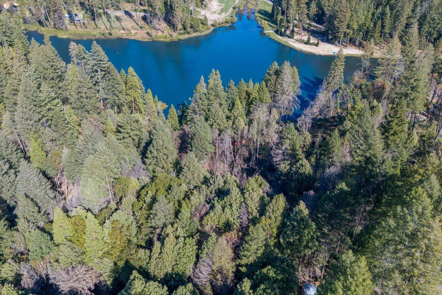 Panorama Drive, Berry Creek, California image 3
