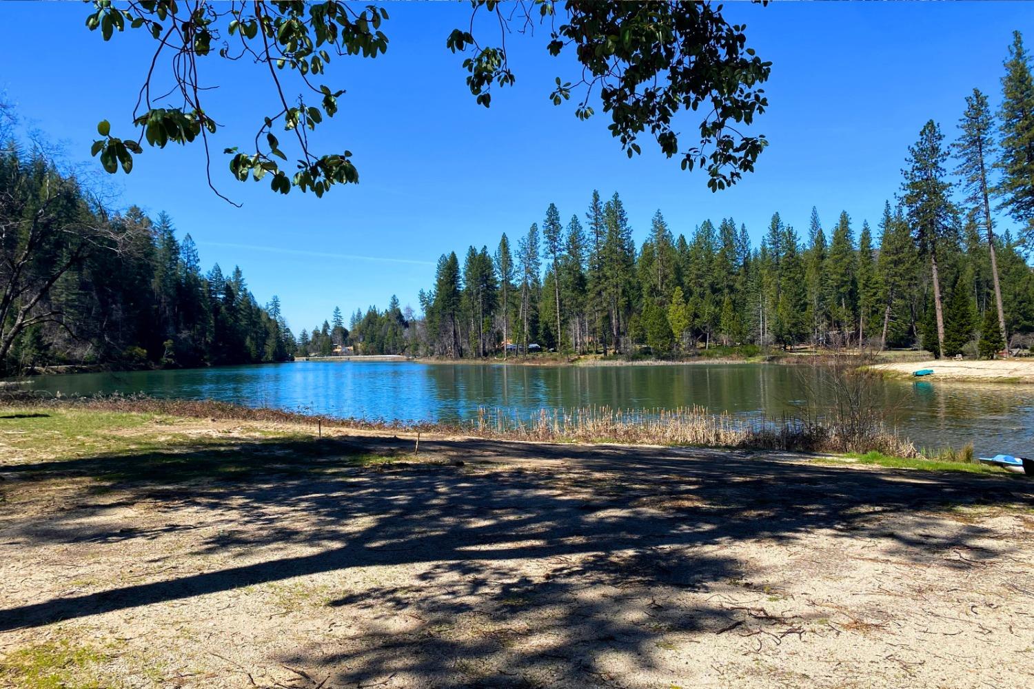 Panorama Drive, Berry Creek, California image 33
