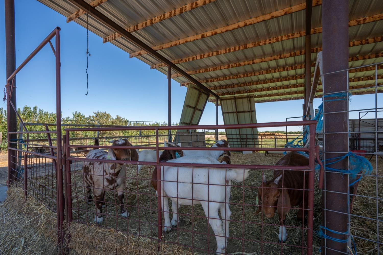 Detail Gallery Image 17 of 33 For 7620 E Grayson Rd, Hughson,  CA 95326 - 3 Beds | 2 Baths