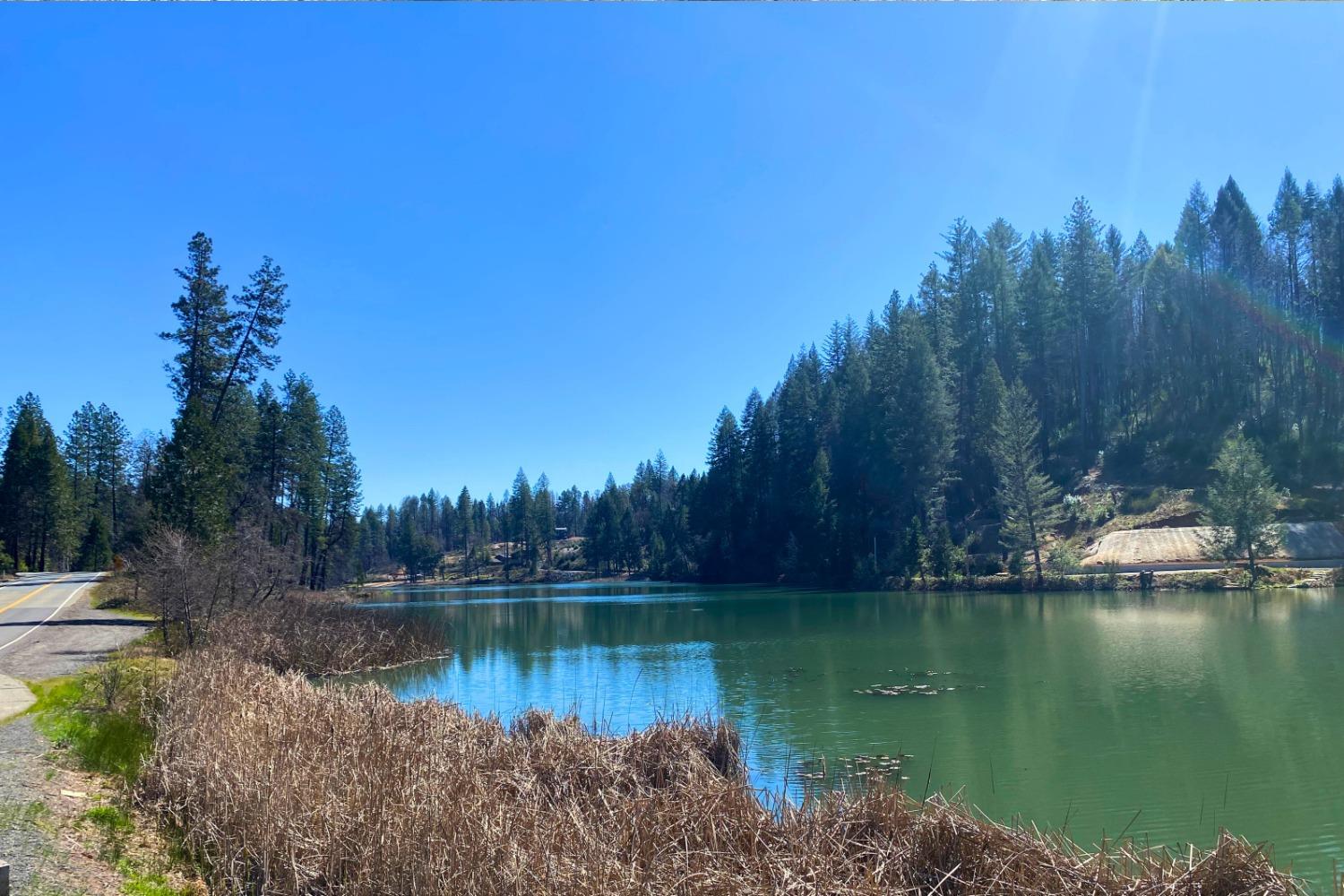 Panorama Drive, Berry Creek, California image 47