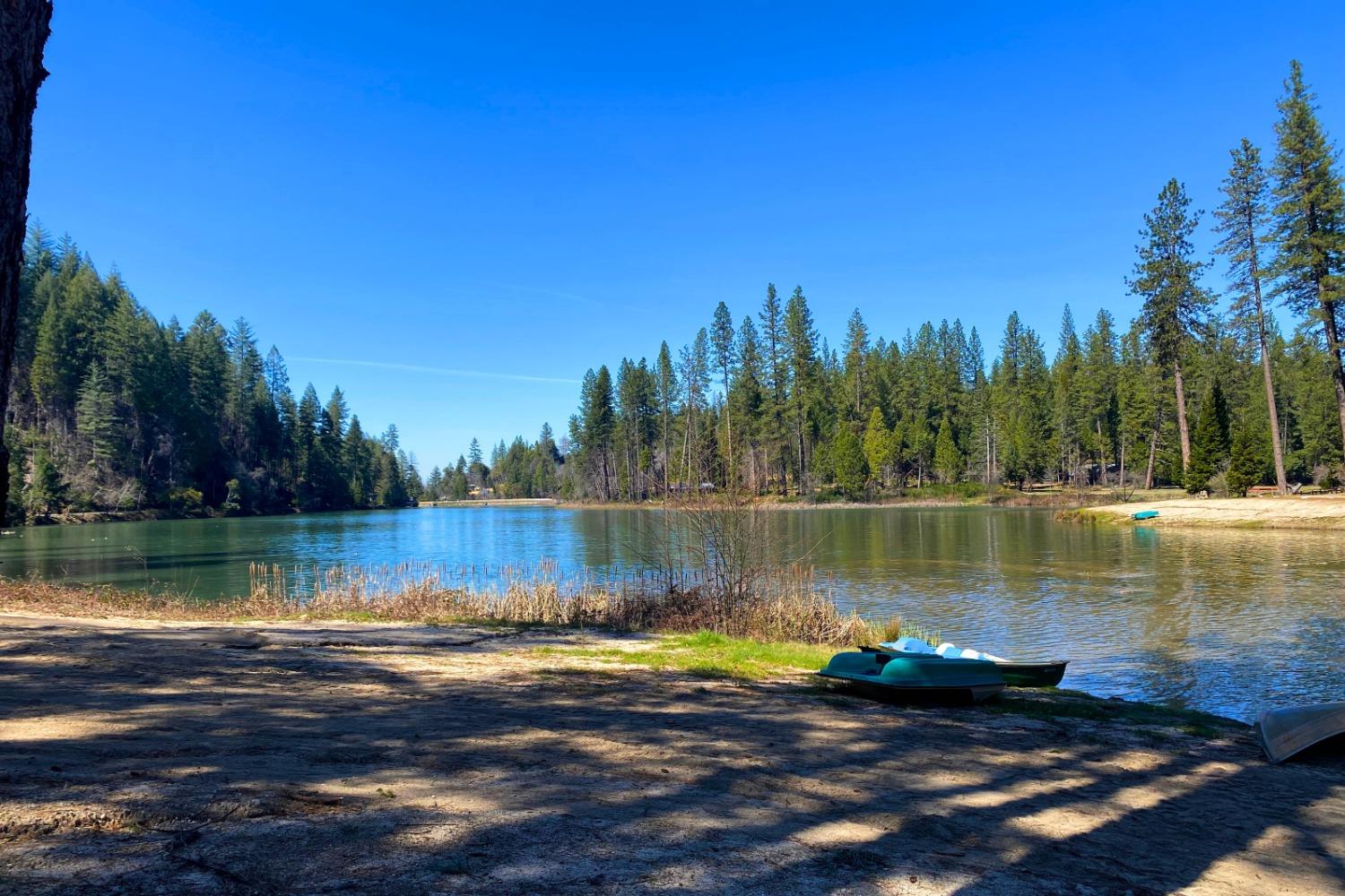 Panorama Drive, Berry Creek, California image 34