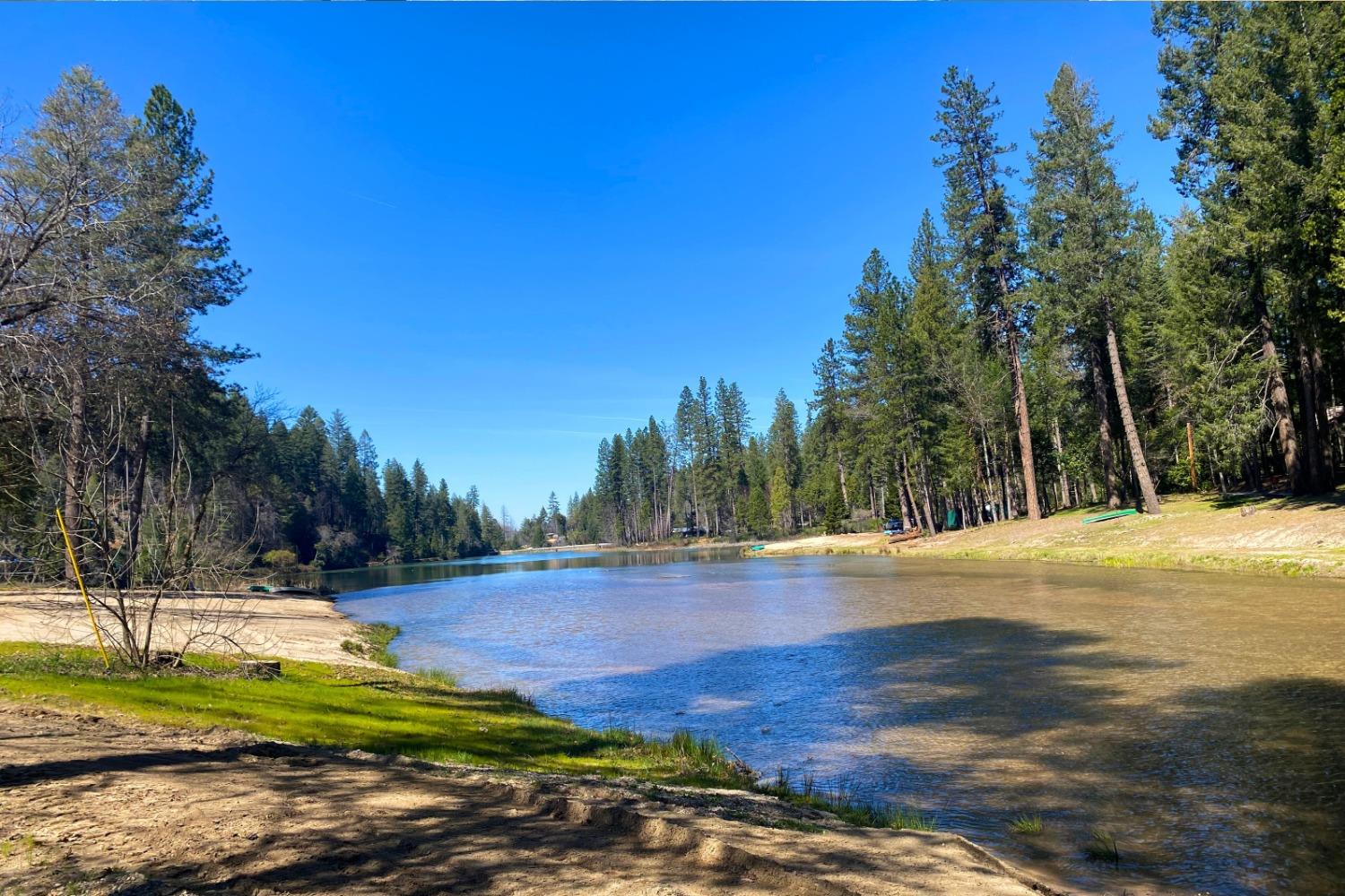 Panorama Drive, Berry Creek, California image 28