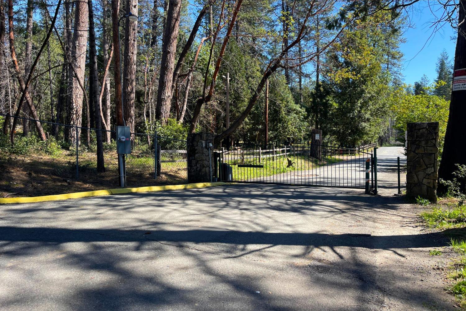 Panorama Drive, Berry Creek, California image 29