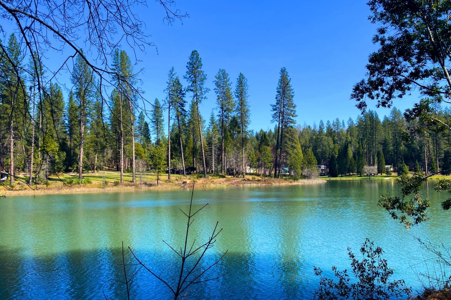 Panorama Drive, Berry Creek, California image 43