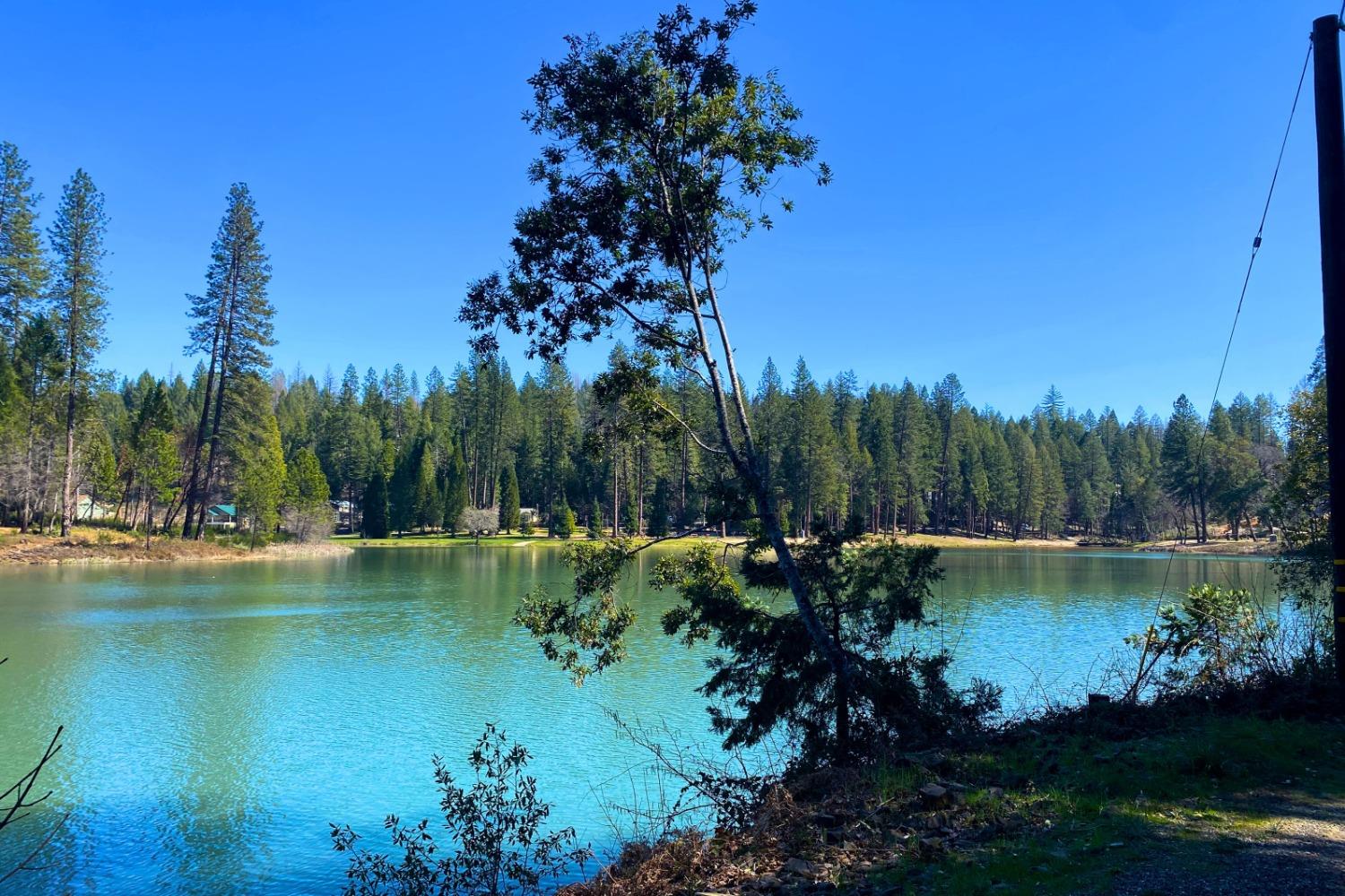 Panorama Drive, Berry Creek, California image 44