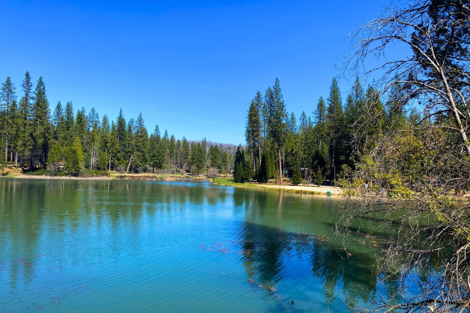 Panorama Drive, Berry Creek, California image 39