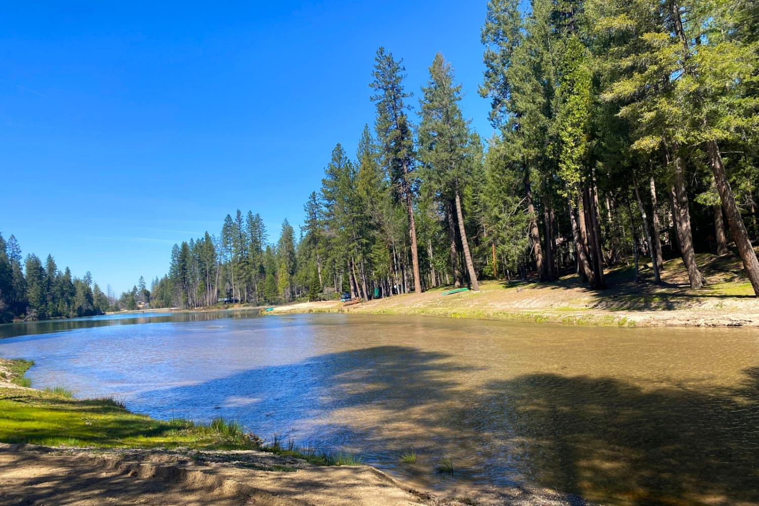 Panorama Drive, Berry Creek, California image 29