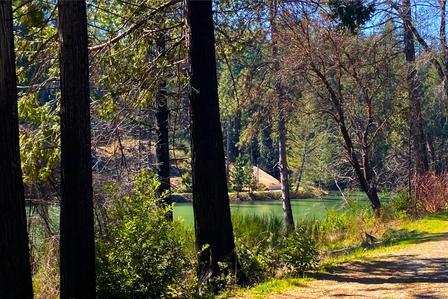 Panorama Drive, Berry Creek, California image 26