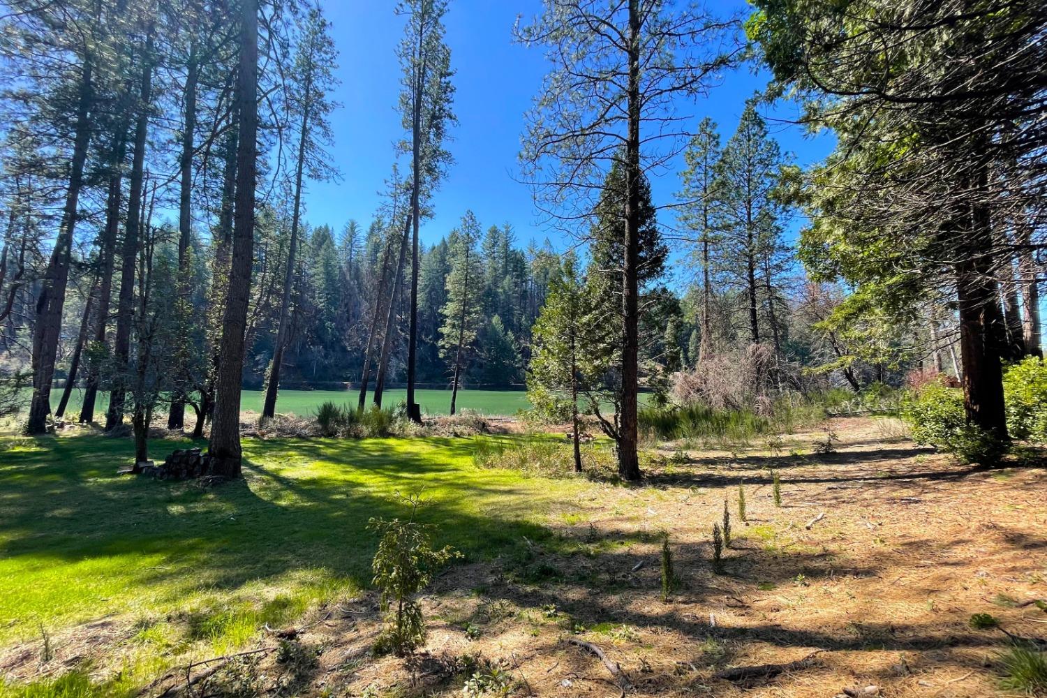Panorama Drive, Berry Creek, California image 24