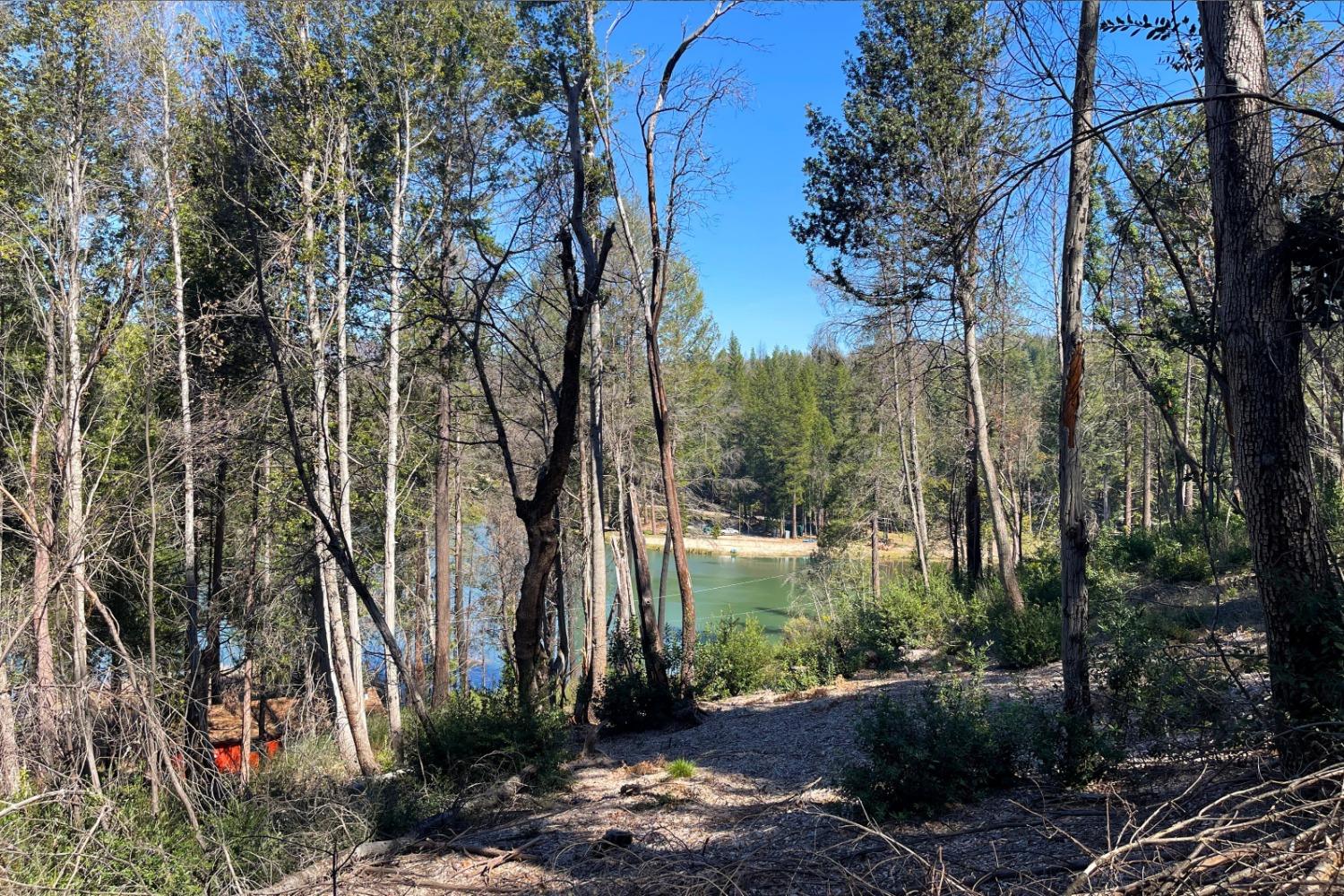 Panorama Drive, Berry Creek, California image 11