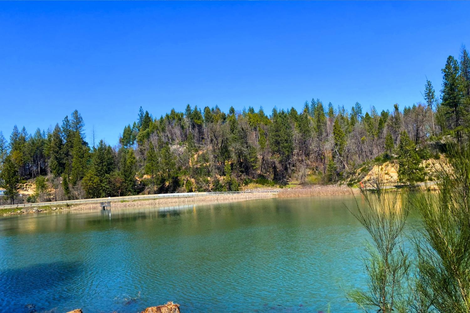 Panorama Drive, Berry Creek, California image 50