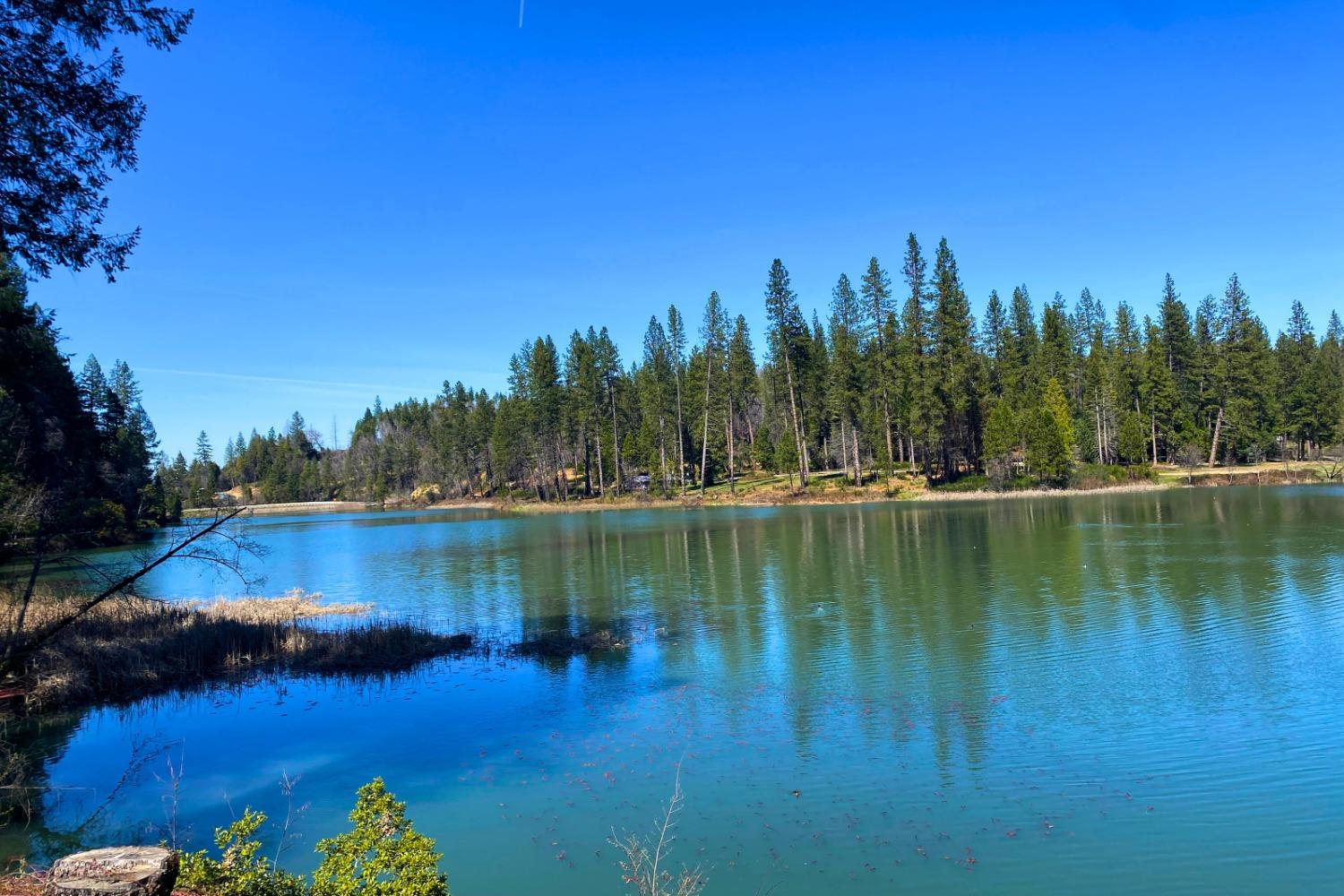 Panorama Drive, Berry Creek, California image 38