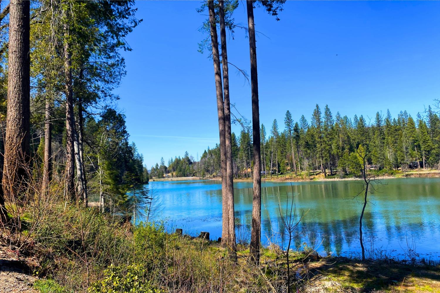 Panorama Drive, Berry Creek, California image 36