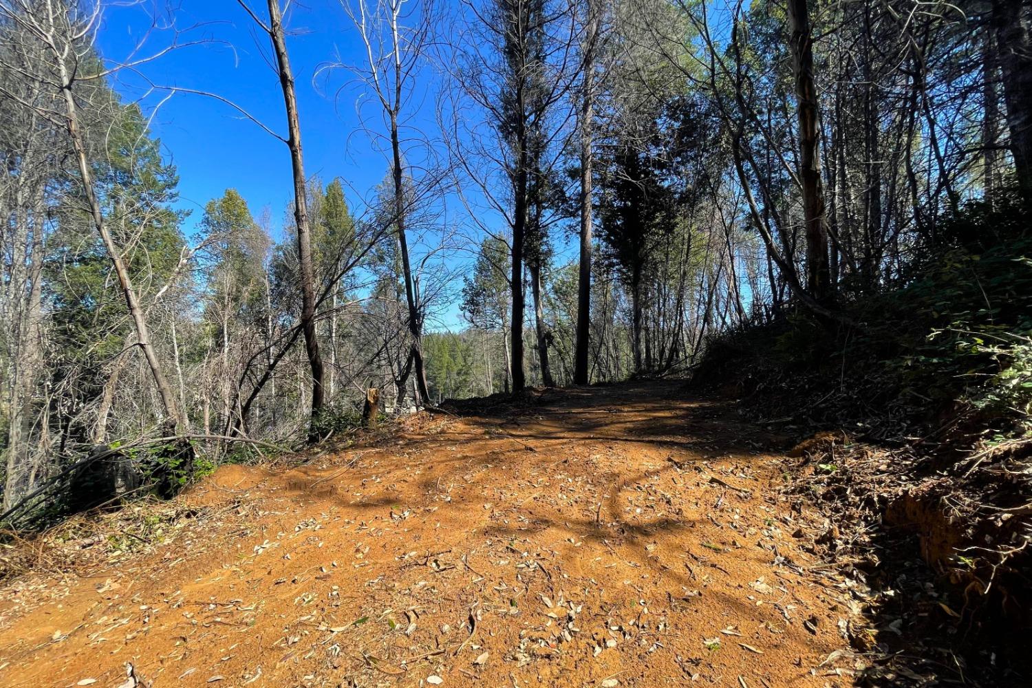 Panorama Drive, Berry Creek, California image 8