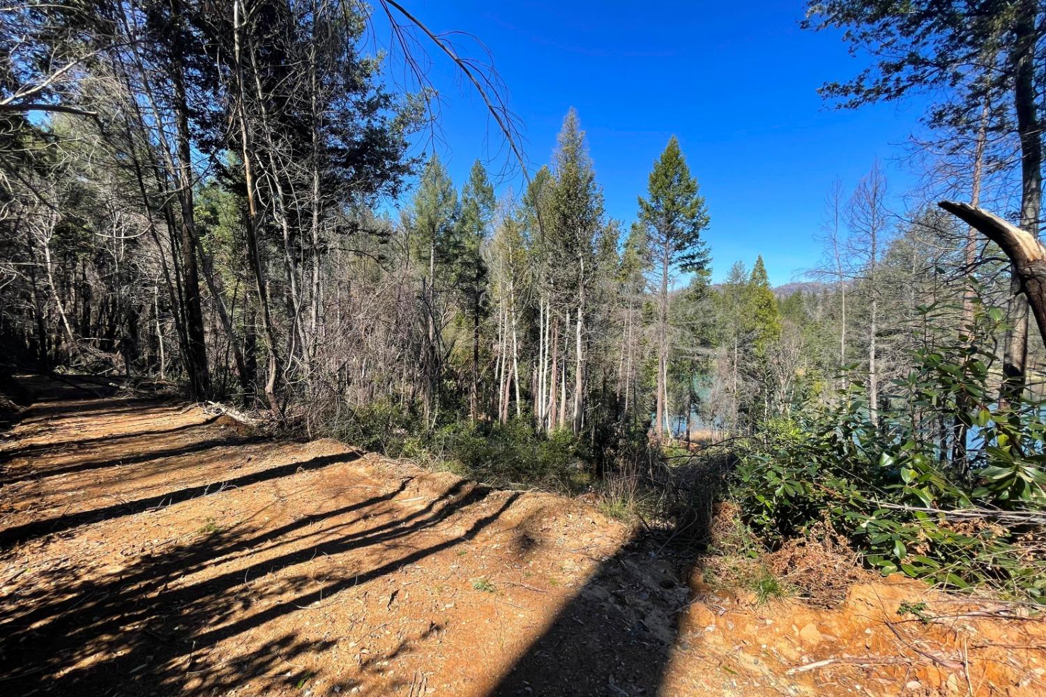Panorama Drive, Berry Creek, California image 17