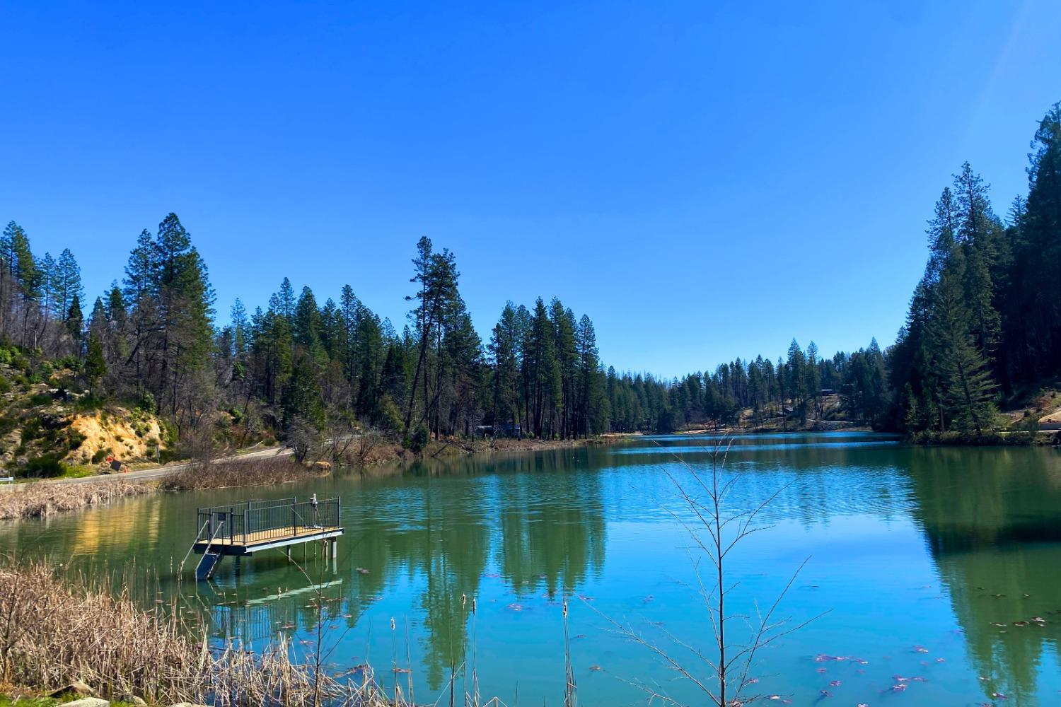 Panorama Drive, Berry Creek, California image 49