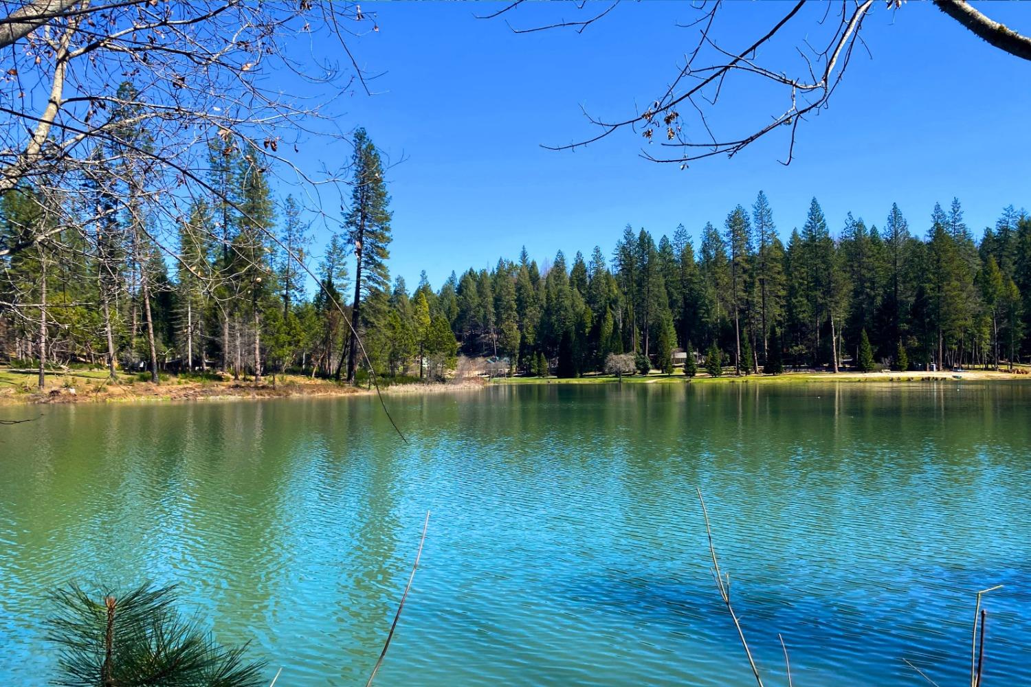 Panorama Drive, Berry Creek, California image 46