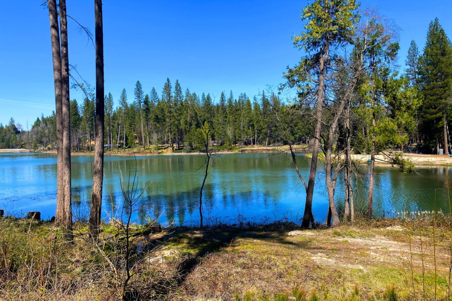 Panorama Drive, Berry Creek, California image 40