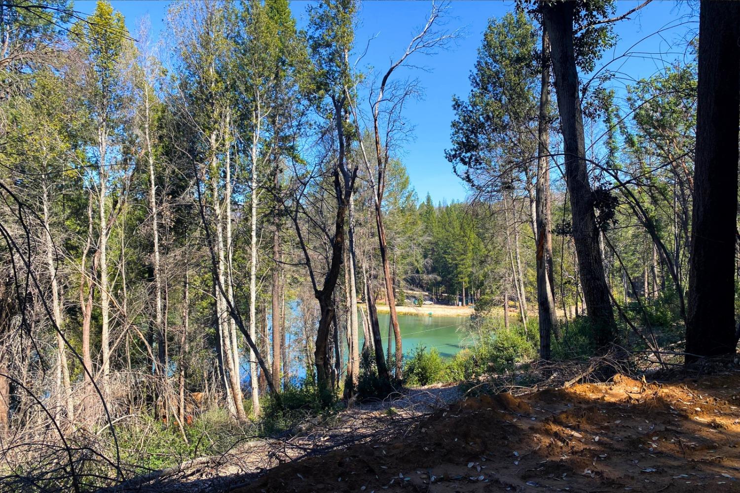 Panorama Drive, Berry Creek, California image 24