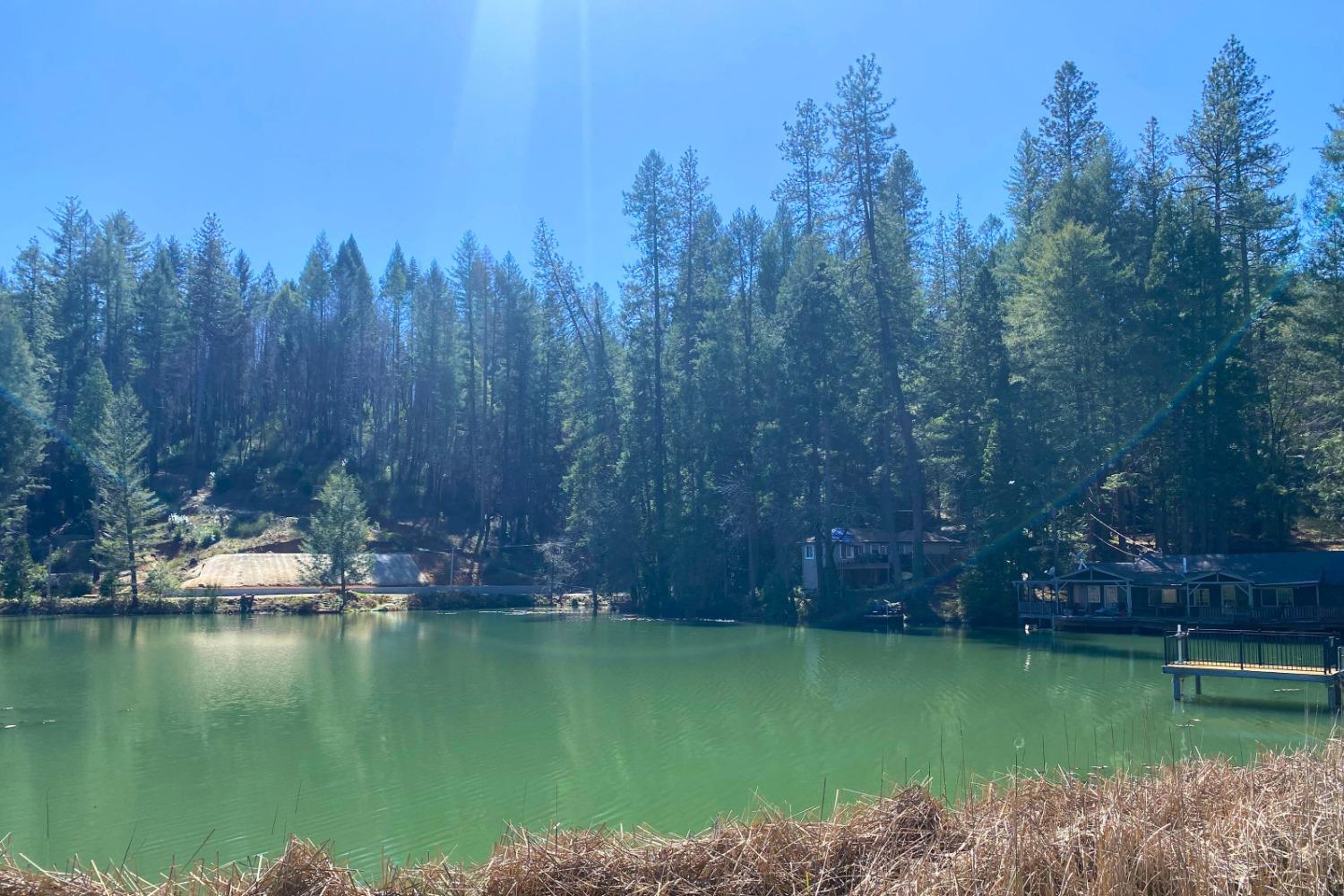 Panorama Drive, Berry Creek, California image 48